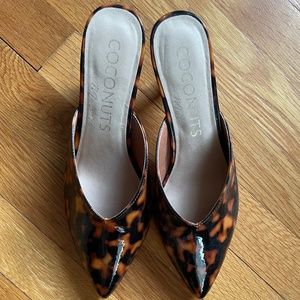 Tortoise Slides NWOB